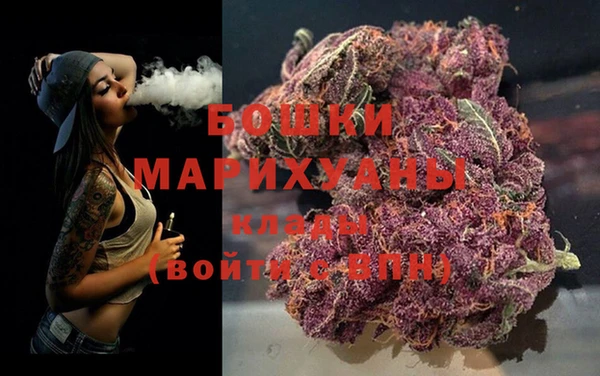 дурь Сатка