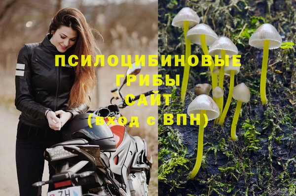spice Беломорск