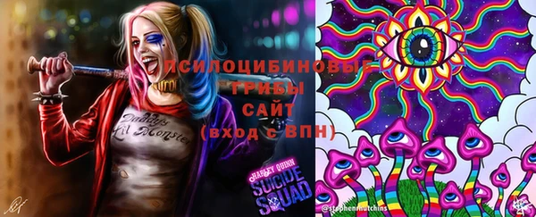 эйфоретик Белоозёрский