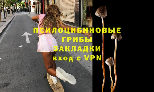 spice Беломорск