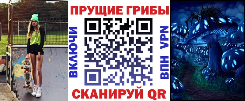 продажа наркотиков  Горно-Алтайск  Галлюциногенные грибы Psilocybine cubensis 